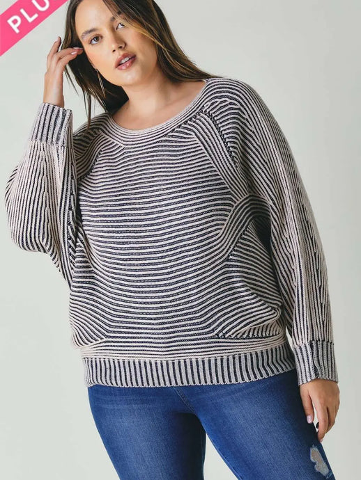 Plus Textured Accent Dolman Sleeve Sweater