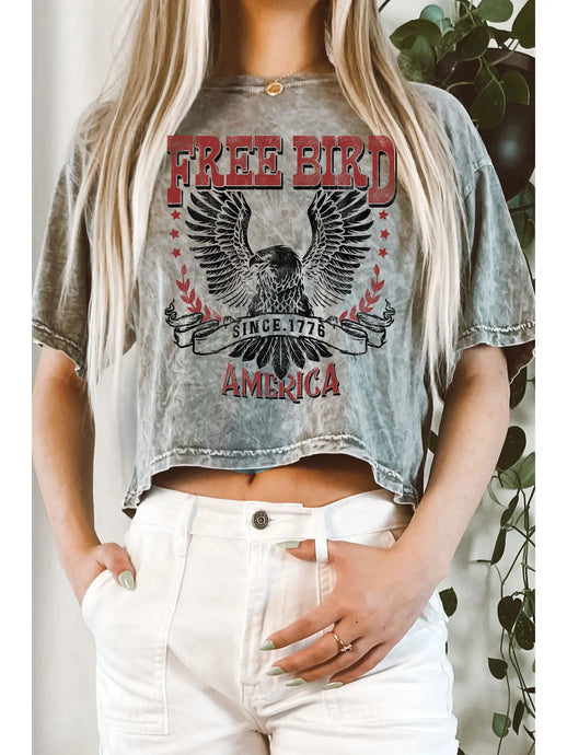 Free Bird Mineral Graphic Long Crop Top